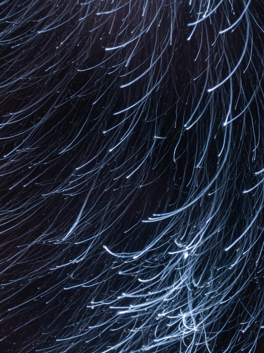 Dense fiber-optic strands glowing cold blue-white like rain in the dark.